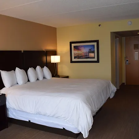 Bridgepointe Hotel & Marina-2