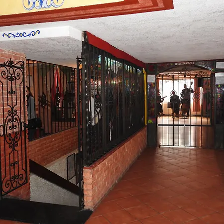 Hotel Benedicta-3