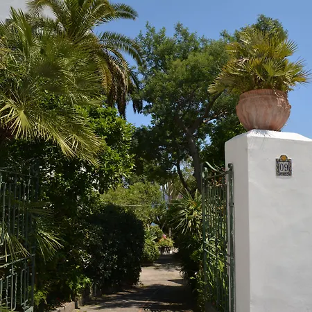 Villa Panoramica - Ischia Ponte-2