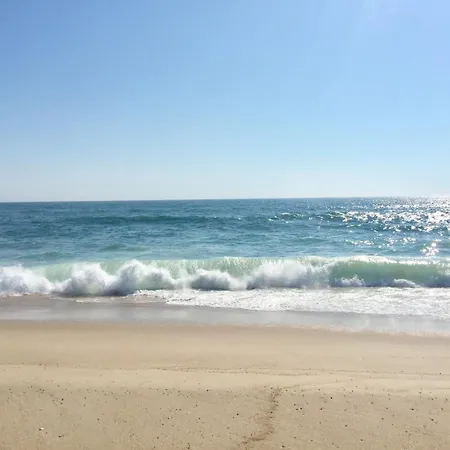 Ocean Vista Resort-2