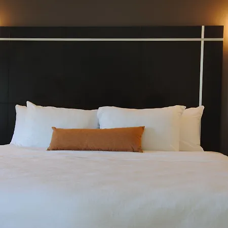 The Gin Hotel, An Ascend Collection Hotel-2