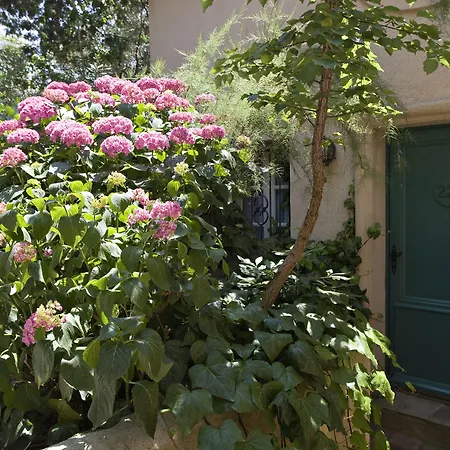 Saint-Vincent-3