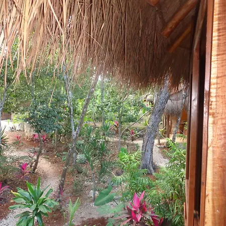 Casa Mango-2