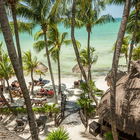 Beachfront Hotel La Palapa - Adults Only-3