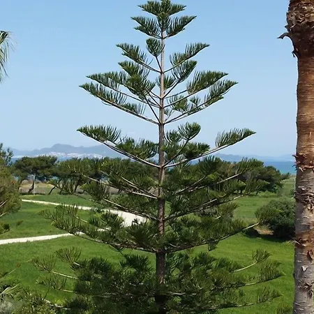 Blue Nest Hotel-2