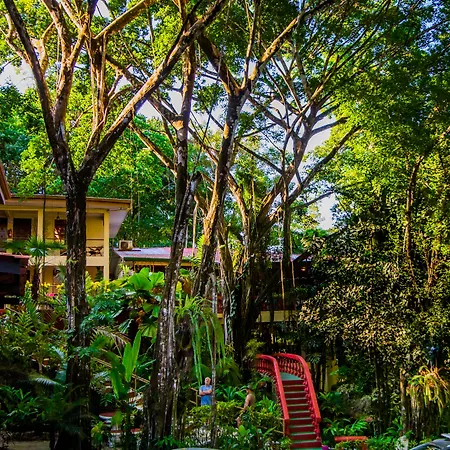 Jungle Beach Hotel Manuel Antonio-3