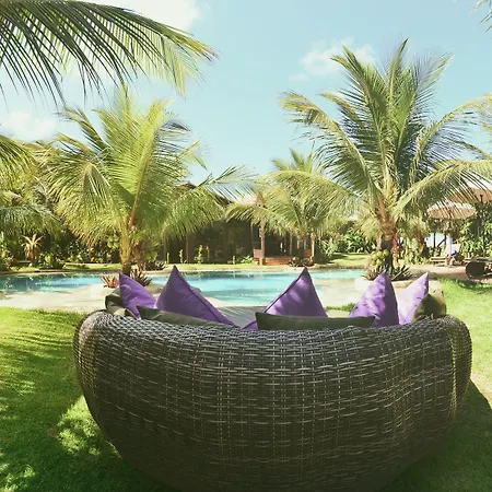 Paua Hotel Boutique-2