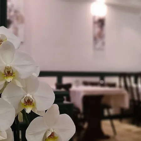 Hotel Lamm-3