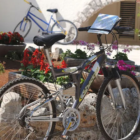 B&B Puglia Vista Mare-3