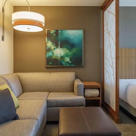 Hyatt Place Houston Galleria-3