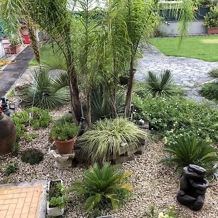 Il Giardino Di Adriana B&B-2