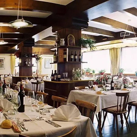 Hotel Stella Alpina-3
