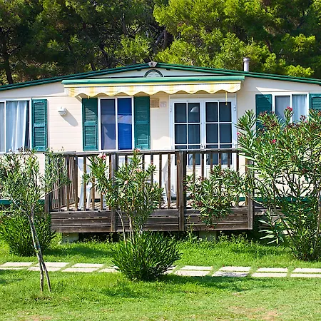 Arena Stupice Camping Homes-3