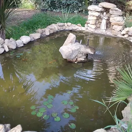 B&B Pian Del Lago-2