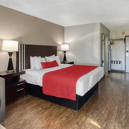 Surestay By Best Western Greenville-2