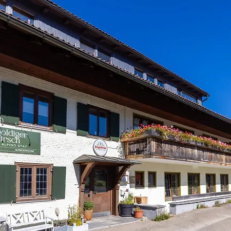 Goldiger Hirsch B&B mit Gemeinschaftsküche-3