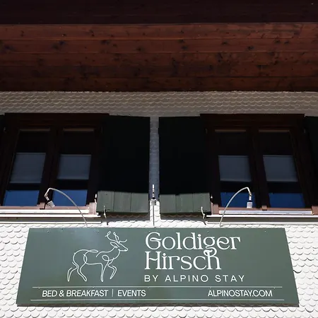 Goldiger Hirsch B&B mit Gemeinschaftsküche-2