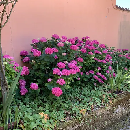 La Casa Celeste B&B-2