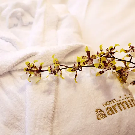 Hotel Armin-2