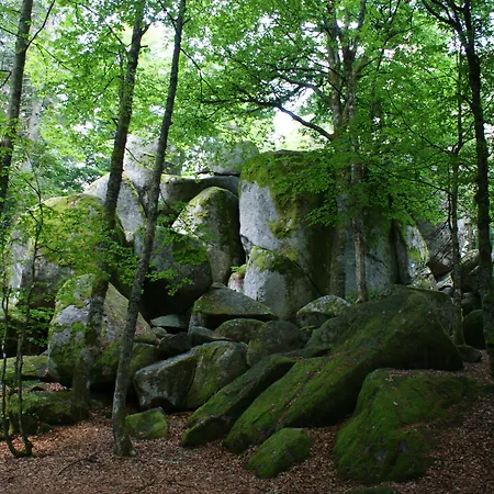 Höhengasthaus Kolmenhof an der Donauquelle-2