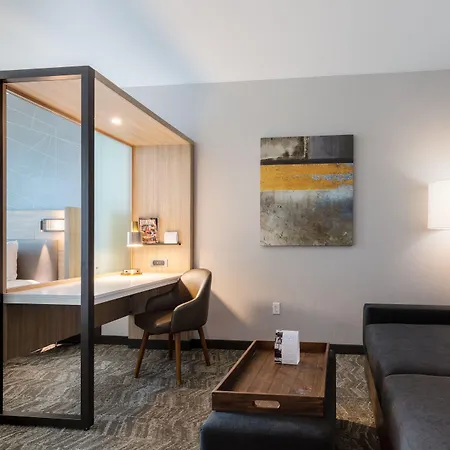 Springhill Suites By Marriott Columbia-2