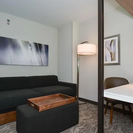 Springhill Suites By Marriott Charlotte City Center-3