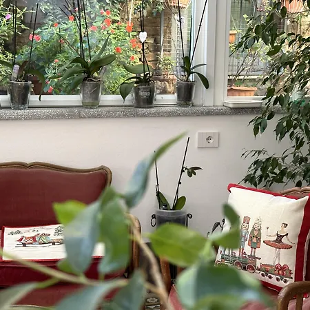 Domus Socolatae Residenza D'Epoca Charming B&B - Adults Only-3