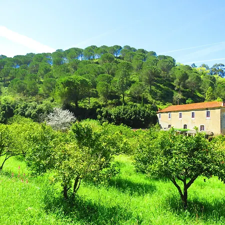 Quinta De Rio Alcaide-2