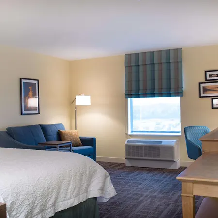 Hampton Inn & Suites Big Rapids, Mi-3