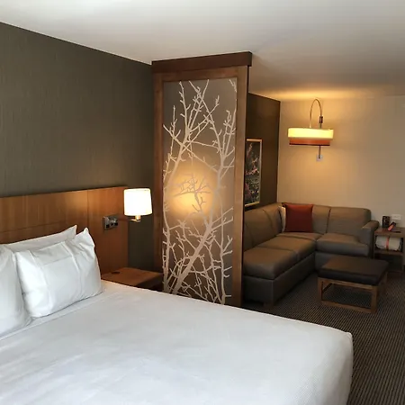 Hyatt Place St George/Convention Center-3