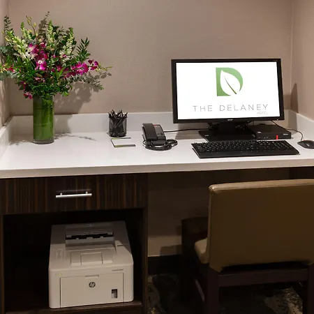 The Delaney Hotel-2