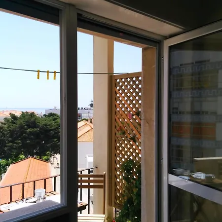 As Mimosas-2