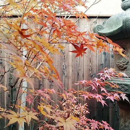 Guest House Bokuyado-3