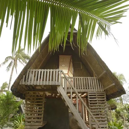 Nalu Surf Camp-2