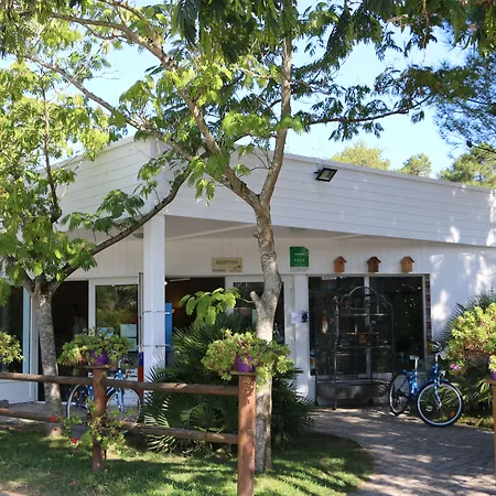 Green Resort-3