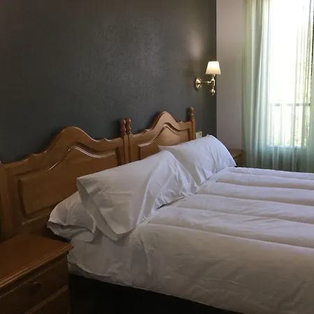 Hotel Cinco Castaños-3