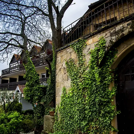 Hotel Bad Dürkheim-2