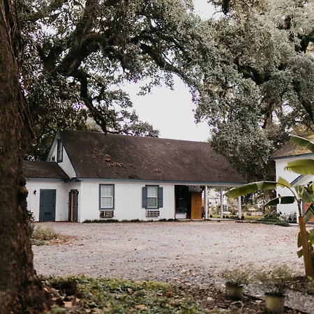 Maison Mouton Bed & Breakfast-3