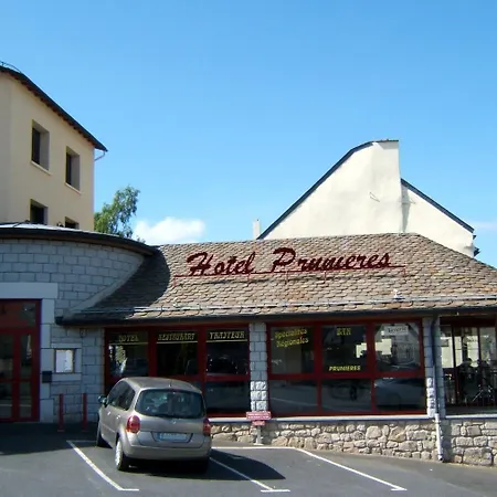 Hôtel Restaurant Prunières-3