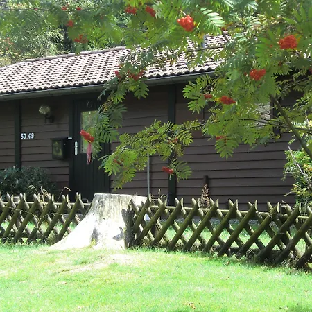 Waldsee Feriendienst 'Ferienpark am Waldsee'-2