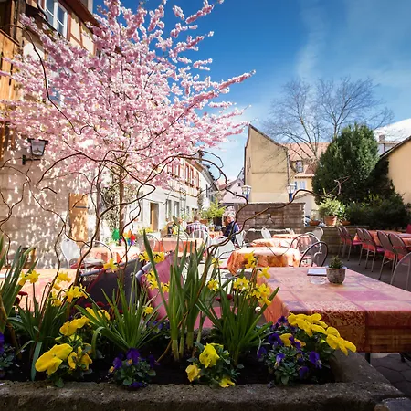 Hotel-Gasthof Goldener Greifen-3