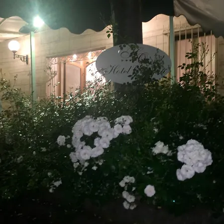 Hotel Olimpia-2