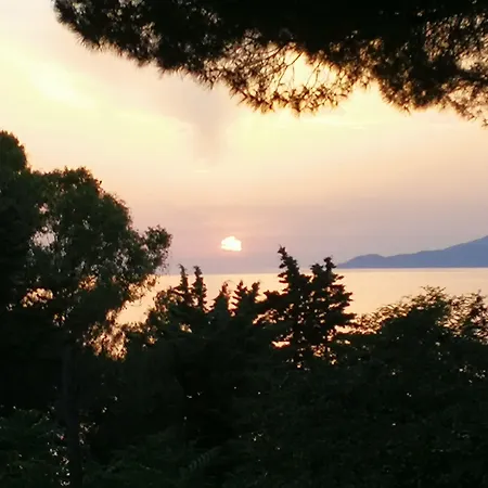Il Sogno di Vincenzo e Maria-2