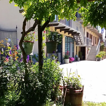 Il Germano Reale-3