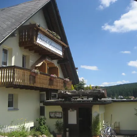 Hotel Jägerhof-3