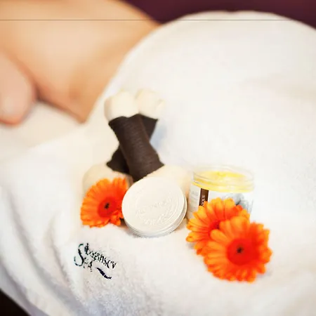 Baginscy Spa-3