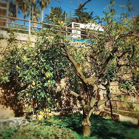 Aloha House-2