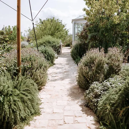 Tenuta del Lauro-2