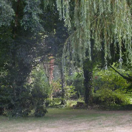 Les Champs De Roz-2