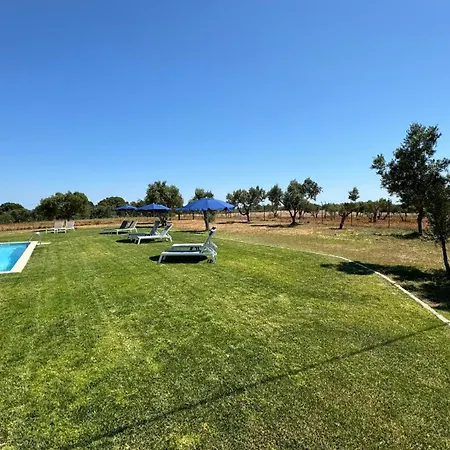 Vila Fuzeta Bed&Breakfast-3